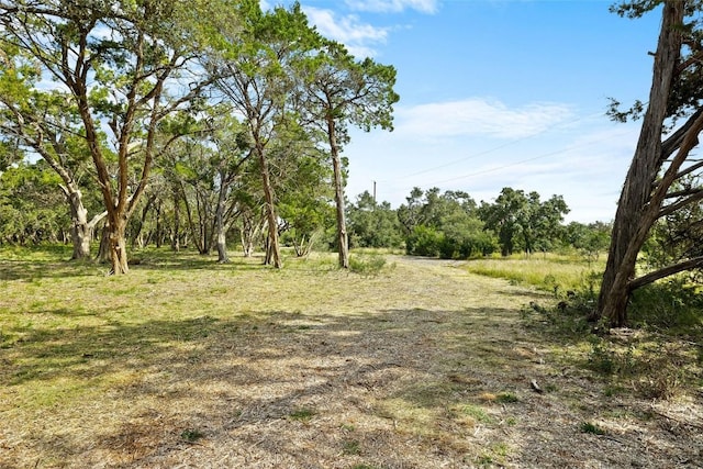 920 Elder Hill Rd, Driftwood, TX 78619 - photo 27