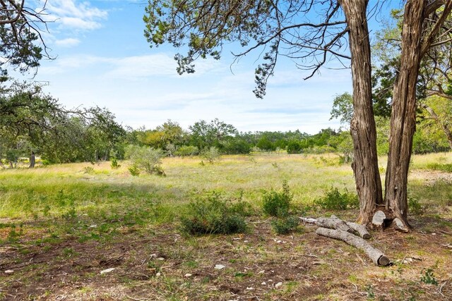 920 Elder Hill Rd, Driftwood, TX 78619 - photo 29