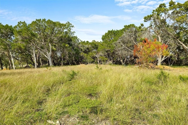 920 Elder Hill Rd, Driftwood, TX 78619 - photo 30