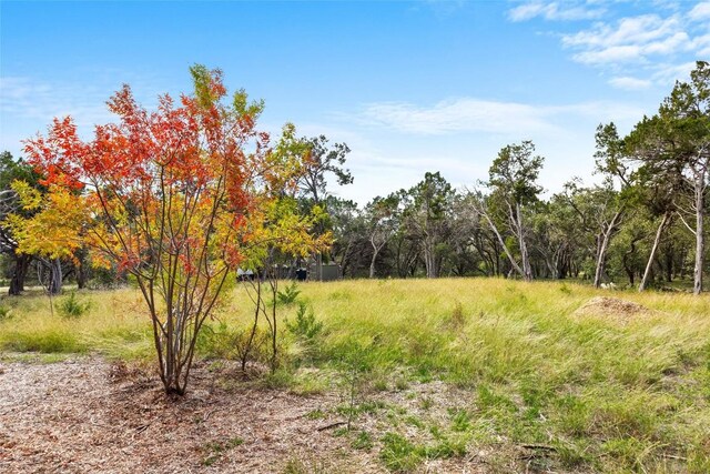 920 Elder Hill Rd, Driftwood, TX 78619 - photo 31