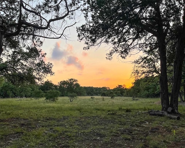920 Elder Hill Rd, Driftwood, TX 78619 - photo 15