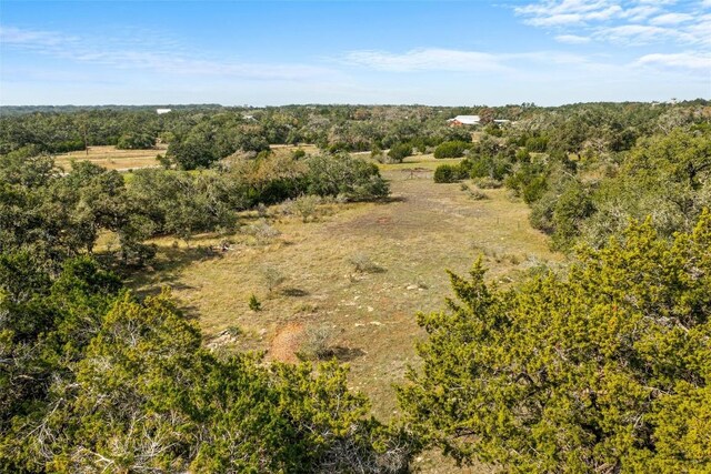 920 Elder Hill Rd, Driftwood, TX 78619 - photo 17
