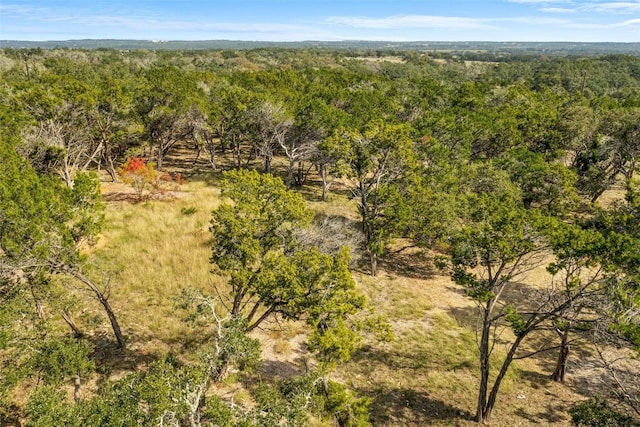 920 Elder Hill Rd, Driftwood, TX 78619 - photo 18