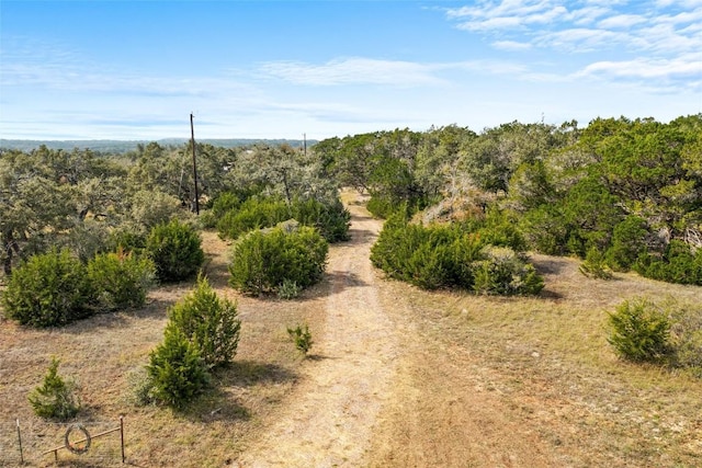 920 Elder Hill Rd, Driftwood, TX 78619 - photo 20