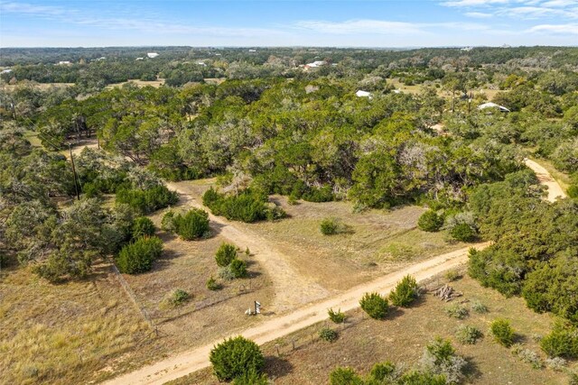 920 Elder Hill Rd, Driftwood, TX 78619 - photo 21