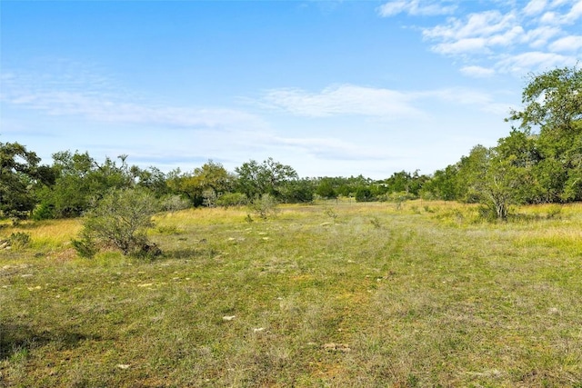920 Elder Hill Rd, Driftwood, TX 78619 - photo 22