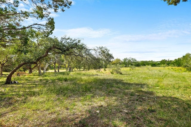 920 Elder Hill Rd, Driftwood, TX 78619 - photo 23