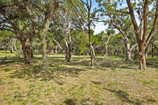 920 Elder Hill Rd, Driftwood, TX 78619 - photo 24