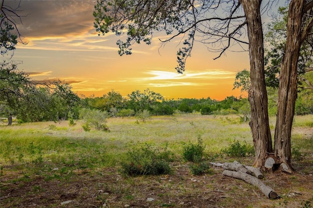 920 Elder Hill Rd, Driftwood, TX 78619 - photo 1