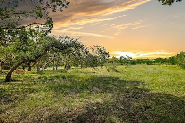 920 Elder Hill Rd, Driftwood, TX 78619 - photo 40
