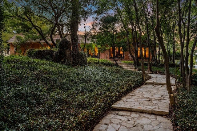 view of yard at dusk