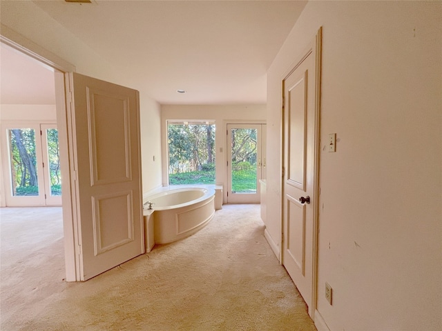 bathroom with a bathtub