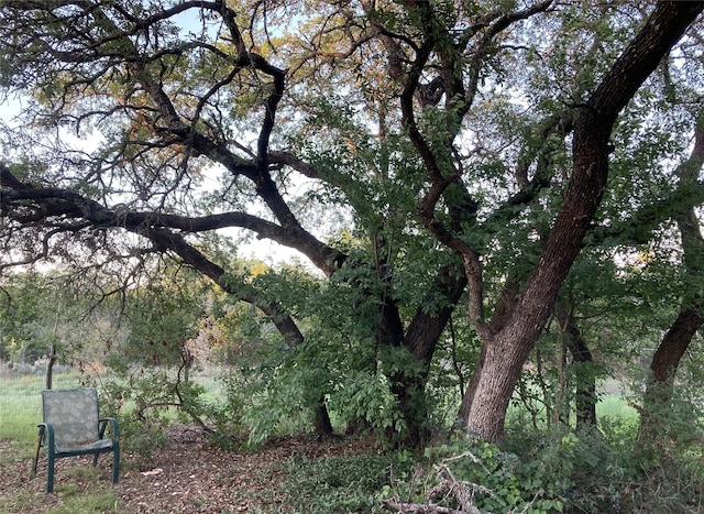 view of local wilderness