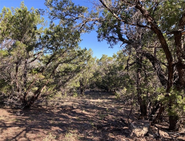 view of landscape with a forest view