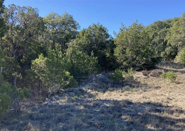 view of local wilderness featuring a wooded view