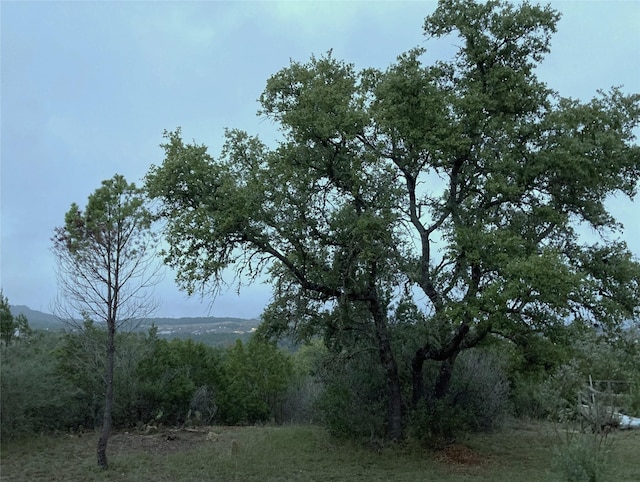 view of nature