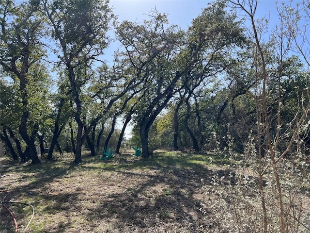 view of landscape