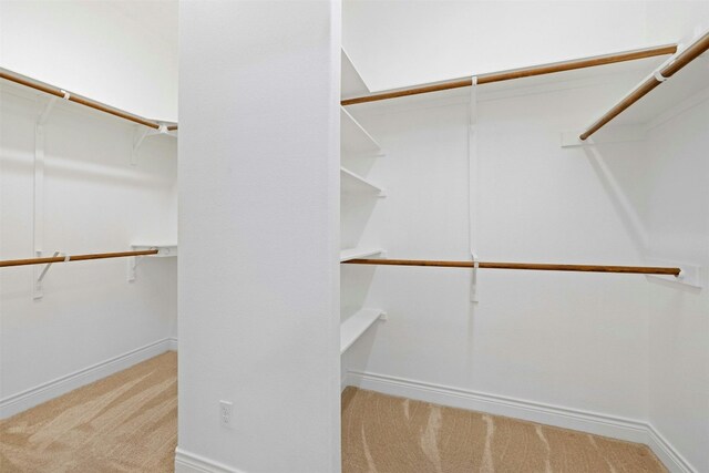 walk in closet featuring light carpet