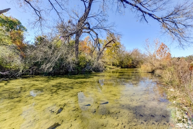 view of nature featuring a water view and a forest view