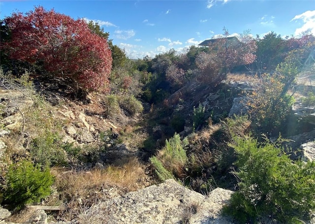 10627 Lake Park Dr, Dripping Springs, TX 78620 - photo 6