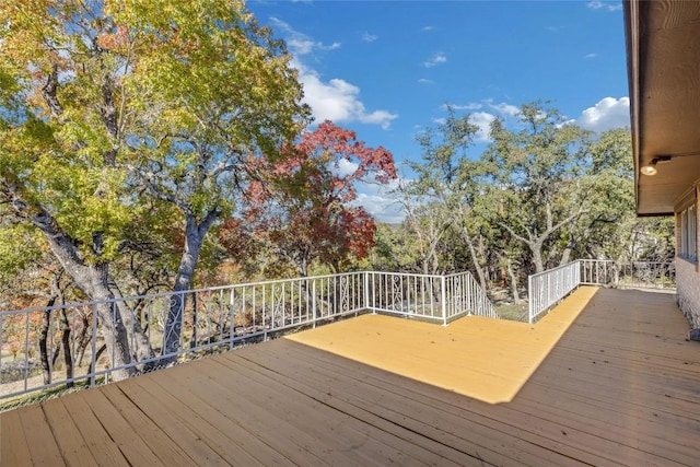 10336 W Darleen Dr, Leander, TX 78641 - photo 14
