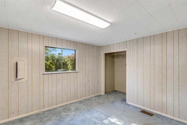 spare room with wood walls and carpet floors