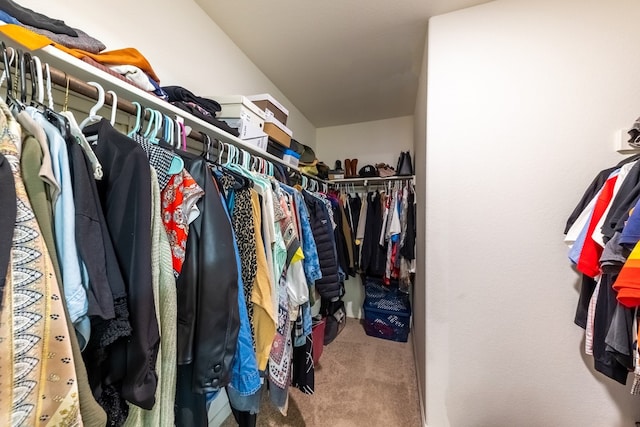 spacious closet featuring carpet flooring