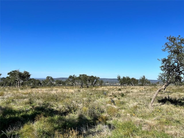 198 Whiterock Trl, Kingsland, TX 78639 - photo 8