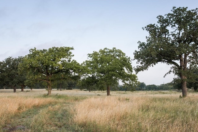 view of nature featuring a rural view