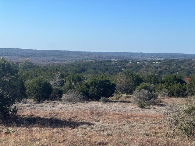 LOT138 High Point Dr, Kempner, TX 76539 - photo 3