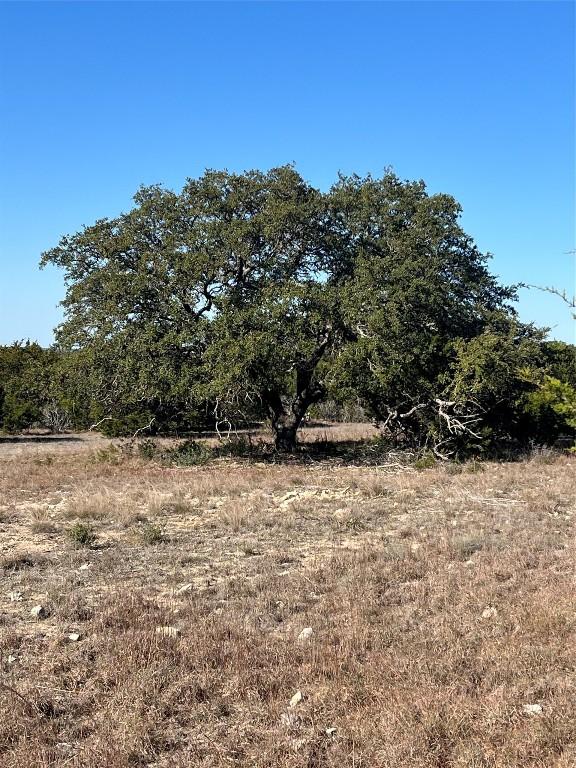 LOT138 High Point Dr, Kempner, TX 76539 - photo 4