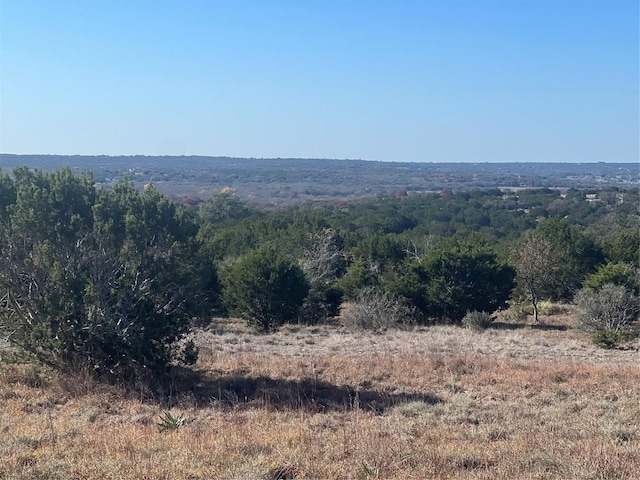 Listing photo 2 for LOT138 High Point Dr, Kempner TX 76539