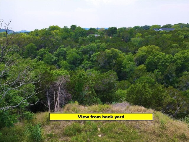 11524 Crumley Creek Rd, Jonestown, TX 78645 - photo 3