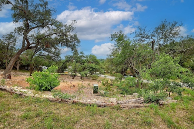 20101 Collier Ln, Lago Vista, TX 78645 - photo 20