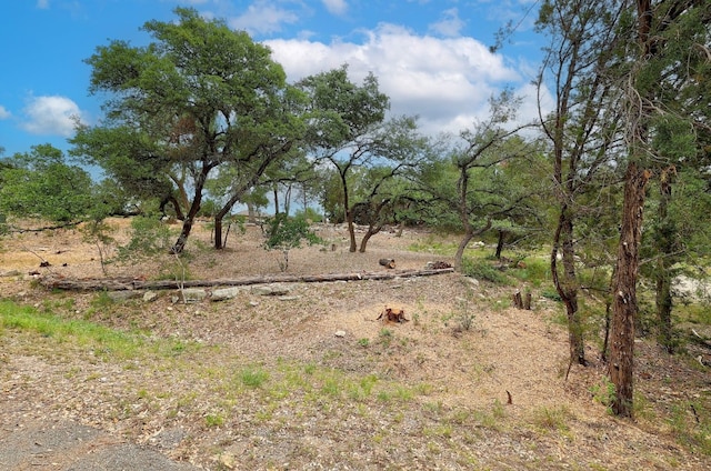 20101 Collier Ln, Lago Vista, TX 78645 - photo 2