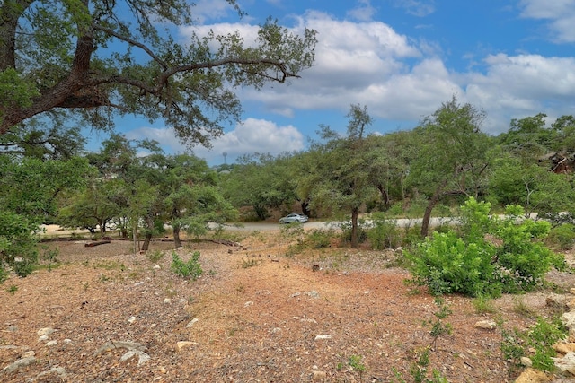 20101 Collier Ln, Lago Vista, TX 78645 - photo 4