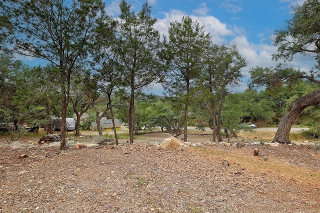 20101 Collier Ln, Lago Vista, TX 78645 - photo 6