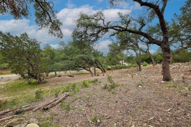 20101 Collier Ln, Lago Vista, TX 78645 - photo 10