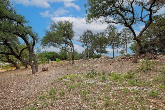 20101 Collier Ln, Lago Vista, TX 78645 - photo 11
