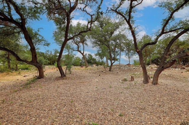 20101 Collier Ln, Lago Vista, TX 78645 - photo 14