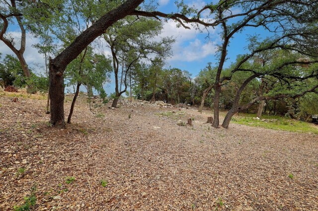 20101 Collier Ln, Lago Vista, TX 78645 - photo 15