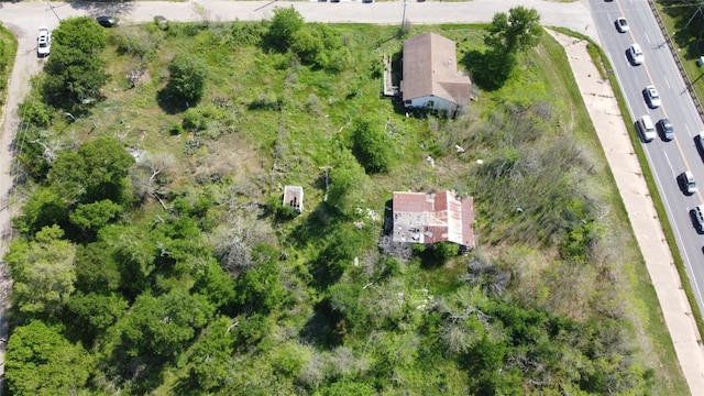 1804 Chestnut St, Bastrop, TX 78602 - photo 7