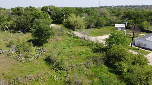 1804 Chestnut St, Bastrop, TX 78602 - photo 13
