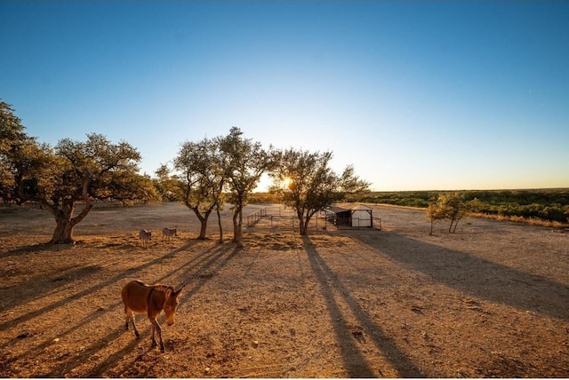 view of road featuring a rural view