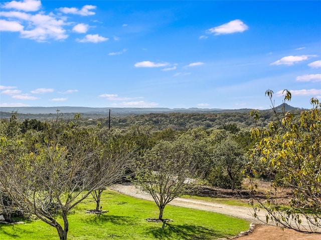 surrounding community with a lawn