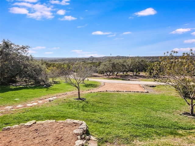 view of yard with a rural view