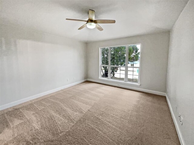 unfurnished room featuring ceiling fan and carpet floors