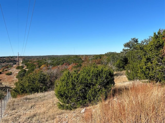 Listing photo 2 for TBD17.9ACRES Altwein Rd, Blanco TX 78606