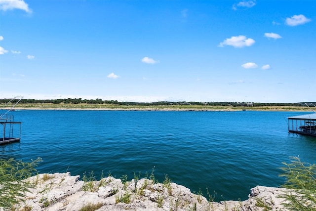 10 Thurman Bluff Dr, Spicewood, TX 78669 - photo 3