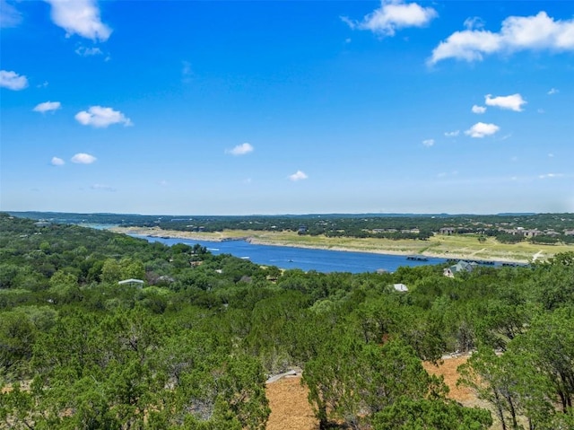 10 Thurman Bluff Dr, Spicewood, TX 78669 - photo 16